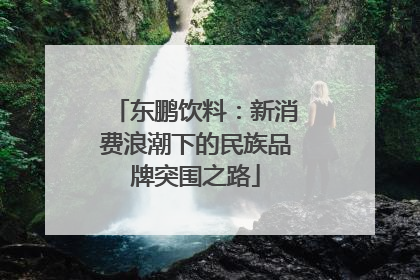 东鹏饮料：新消费浪潮下的民族品牌突围之路