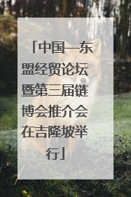 中国—东盟经贸论坛暨第三届链博会推介会在吉隆坡举行