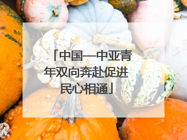 中国—中亚青年双向奔赴促进民心相通