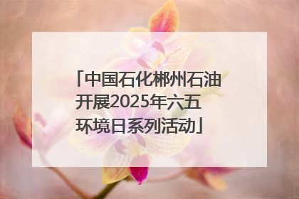 中国石化郴州石油开展2025年六五环境日系列活动