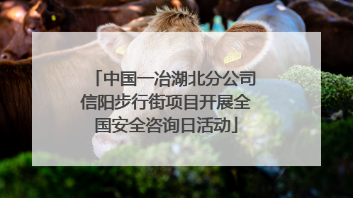 中国一冶湖北分公司信阳步行街项目开展全国安全咨询日活动