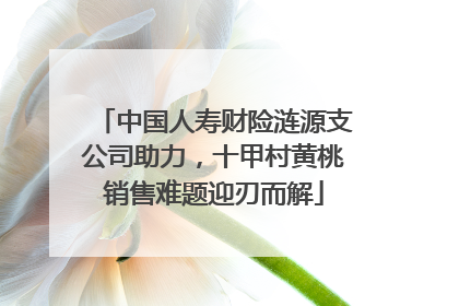中国人寿财险涟源支公司助力，十甲村黄桃销售难题迎刃而解