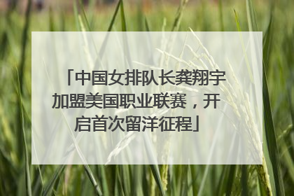 中国女排队长龚翔宇加盟美国职业联赛,开启首次留洋征程