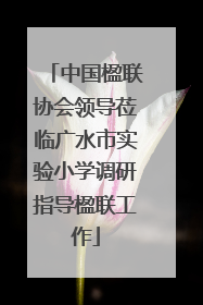 中国楹联协会领导莅临广水市实验小学调研指导楹联工作