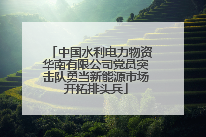 中国水利电力物资华南有限公司党员突击队勇当新能源市场开拓排头兵
