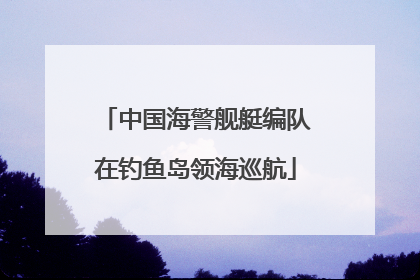 中国海警舰艇编队在钓鱼岛领海巡航