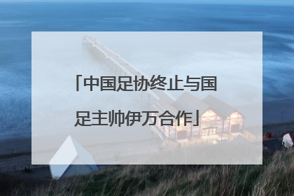 中国足协终止与国足主帅伊万合作
