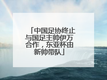 中国足协终止与国足主帅伊万合作，东亚杯由新帅带队