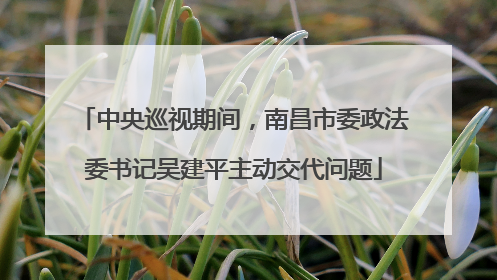中央巡视期间，南昌市委政法委书记吴建平主动交代问题