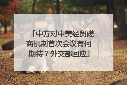 中方对中美经贸磋商机制首次会议有何期待？外交部回应