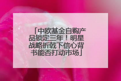 中欧基金自购产品锁定三年！明星战略折戟下信心背书能否打动市场