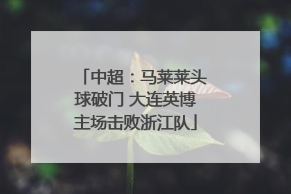 中超：马莱莱头球破门 大连英博主场击败浙江队