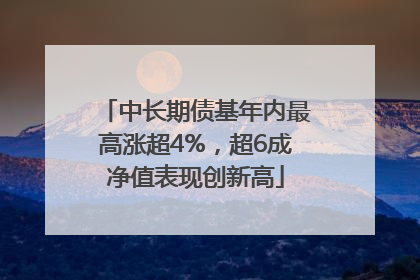 中长期债基年内最高涨超4%，超6成净值表现创新高