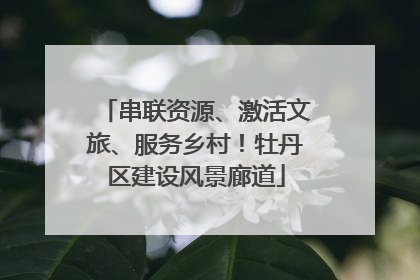 串联资源、激活文旅、服务乡村！牡丹区建设风景廊道