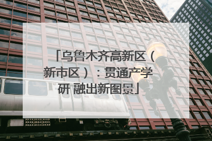 乌鲁木齐高新区（新市区）：贯通产学研 融出新图景
