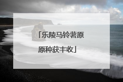 乐陵马铃薯原原种获丰收