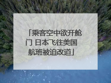 乘客空中欲开舱门 日本飞往美国航班被迫改道