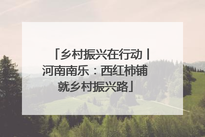 乡村振兴在行动丨河南南乐：西红柿铺就乡村振兴路