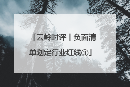 云岭时评丨负面清单划定行业红线③