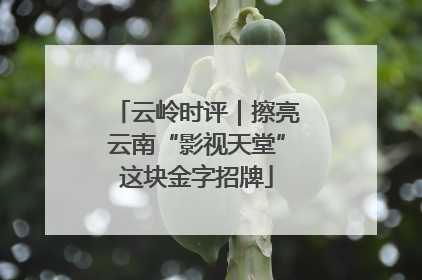 云岭时评｜擦亮云南“影视天堂”这块金字招牌