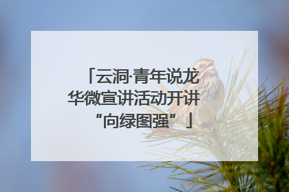 云洞·青年说龙华微宣讲活动开讲“向绿图强”