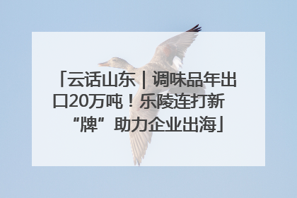 云话山东｜调味品年出口20万吨！乐陵连打新“牌”助力企业出海