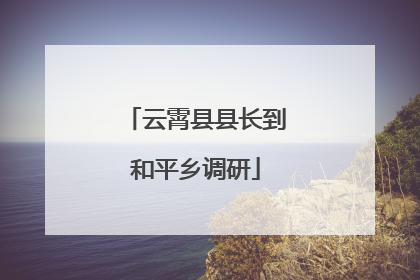 云霄县县长到和平乡调研