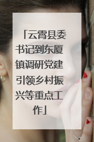 云霄县委书记到东厦镇调研党建引领乡村振兴等重点工作