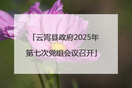 云霄县政府2025年第七次党组会议召开