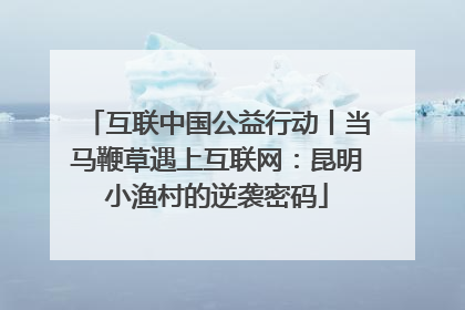 互联中国公益行动丨当马鞭草遇上互联网：昆明小渔村的逆袭密码