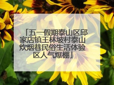 五一假期泰山区邱家店镇王林坡村泰山炊烟巷民俗生活体验区人气爆棚
