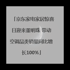 京东家电家居惊喜日迎来董明珠 带动空调品类销量同比增长100%
