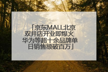 京东MALL北京双井店开业即爆火 华为等超十余品牌单日销售额破百万