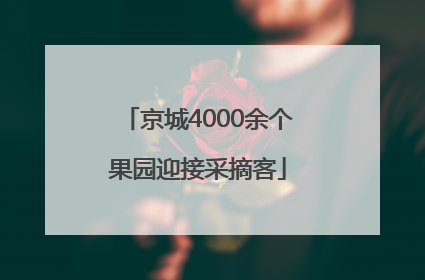 京城4000余个果园迎接采摘客