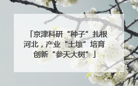 京津科研“种子”扎根河北，产业“土壤”培育创新“参天大树”