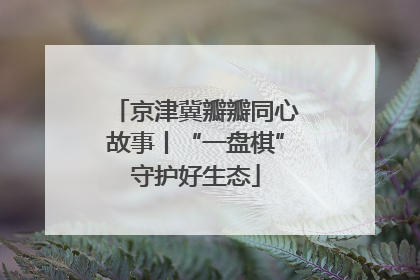 京津冀瓣瓣同心故事丨“一盘棋”守护好生态