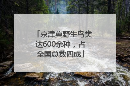 京津冀野生鸟类达600余种，占全国总数四成