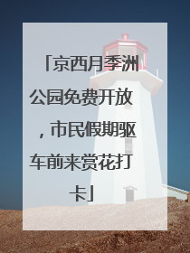 京西月季洲公园免费开放，市民假期驱车前来赏花打卡