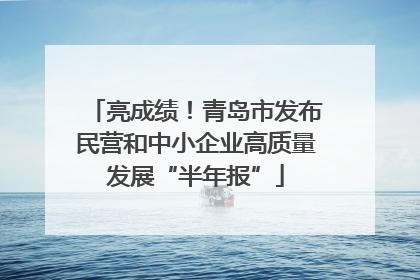 亮成绩！青岛市发布民营和中小企业高质量发展“半年报”