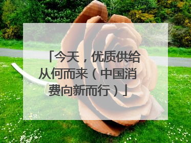 今天，优质供给从何而来（中国消费向新而行）
