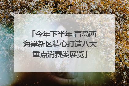 今年下半年 青岛西海岸新区精心打造八大重点消费类展览
