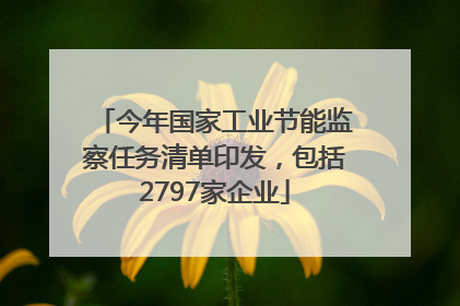 今年国家工业节能监察任务清单印发，包括2797家企业