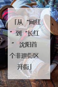 从“网红”到“长红” 沈阳首个非遗街区开街
