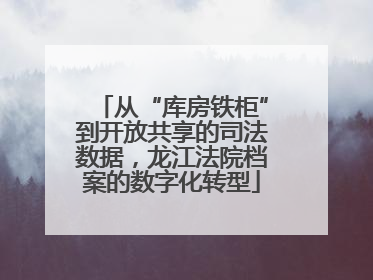 从“库房铁柜”到开放共享的司法数据，龙江法院档案的数字化转型