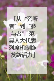 从“旁听者”到“参与者” 范县人大代表列席机制焕发新活力
