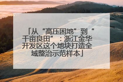 从“高压困地”到“千亩良田”：浙江金华开发区这个地块打造全域整治示范样本