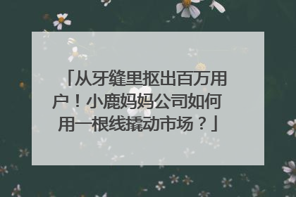 从牙缝里抠出百万用户！小鹿妈妈公司如何用一根线撬动市场？