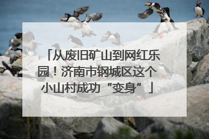 从废旧矿山到网红乐园！济南市钢城区这个小山村成功“变身”