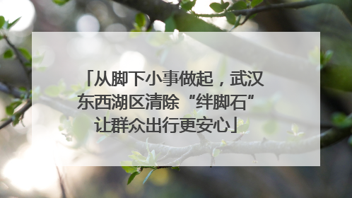 从脚下小事做起，武汉东西湖区清除“绊脚石”让群众出行更安心