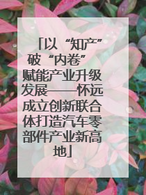 以“知产”破“内卷” 赋能产业升级发展——怀远成立创新联合体打造汽车零部件产业新高地